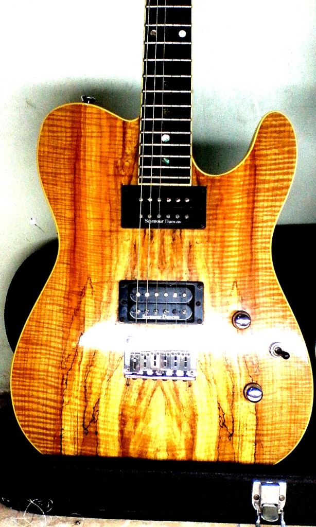 seymour duncan pickups on spalted maple tele